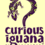 CURIOUS IGUANA