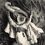Userphoto7 original