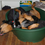 Dead dog screen size