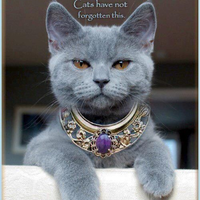 Cats were gods egypt